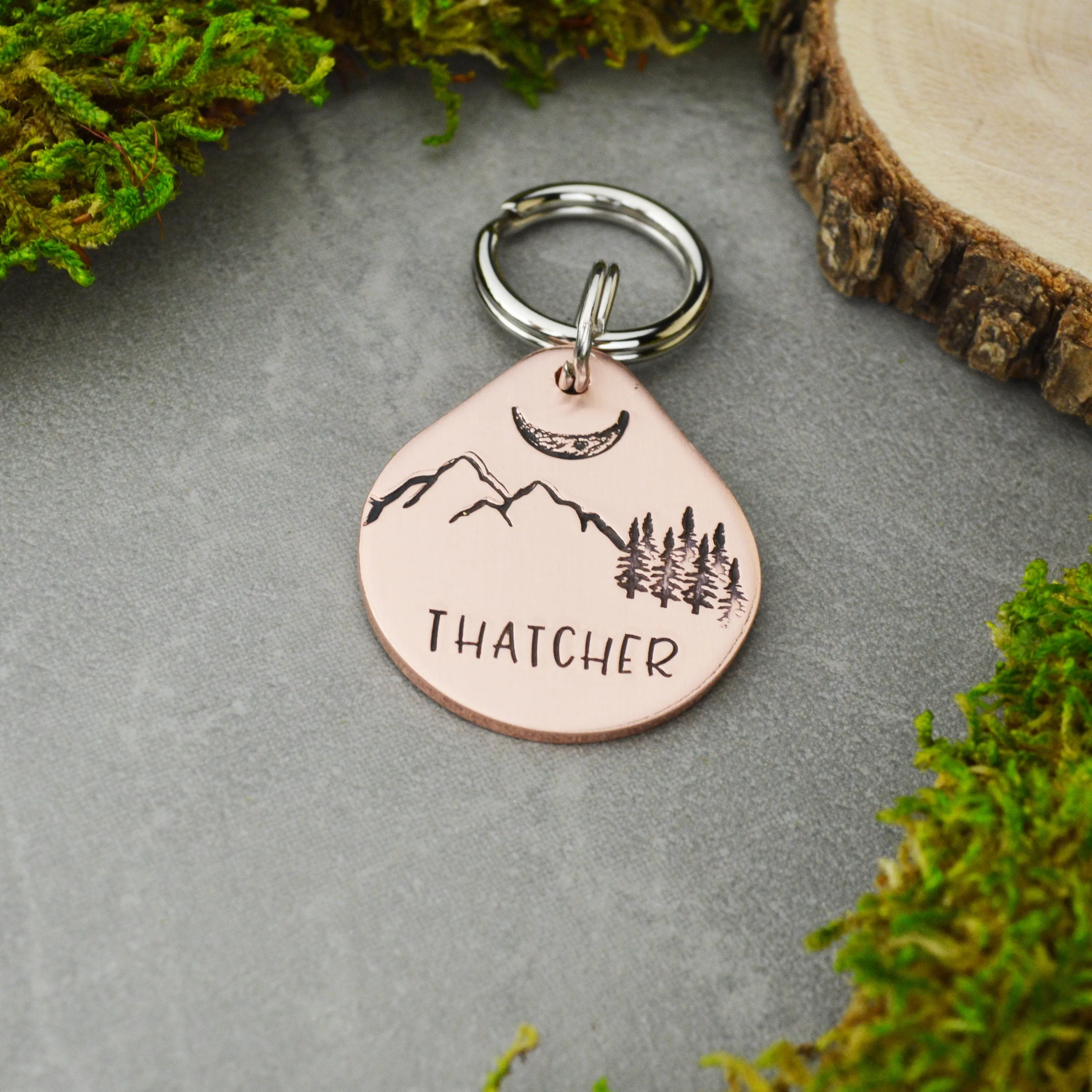 Perigee Pet ID Tag