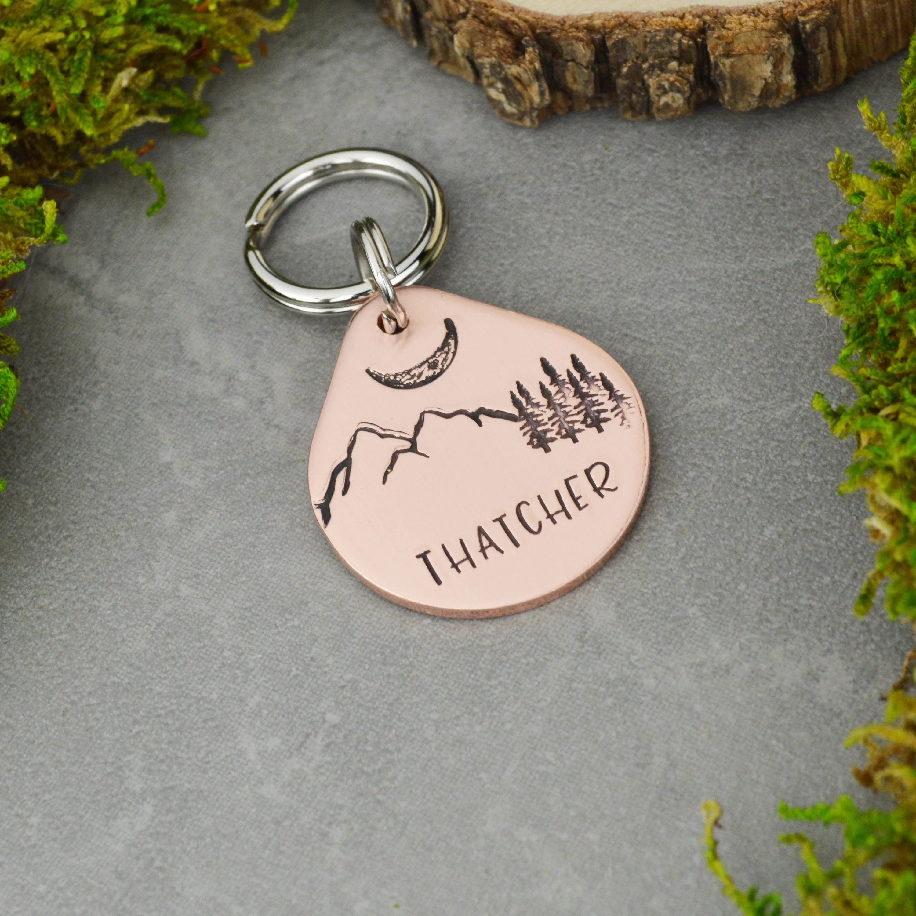 Perigee Pet ID Tag