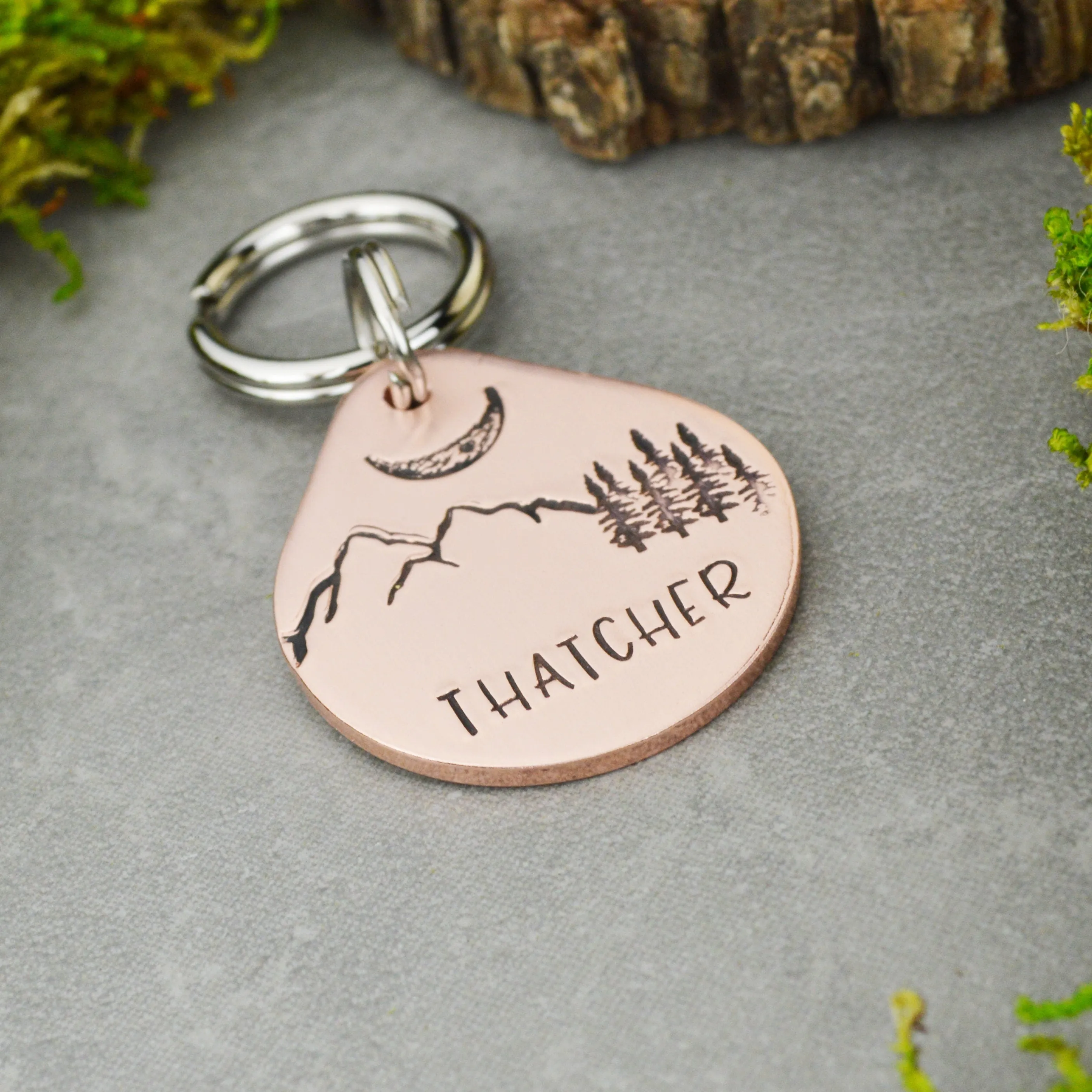 Perigee Pet ID Tag