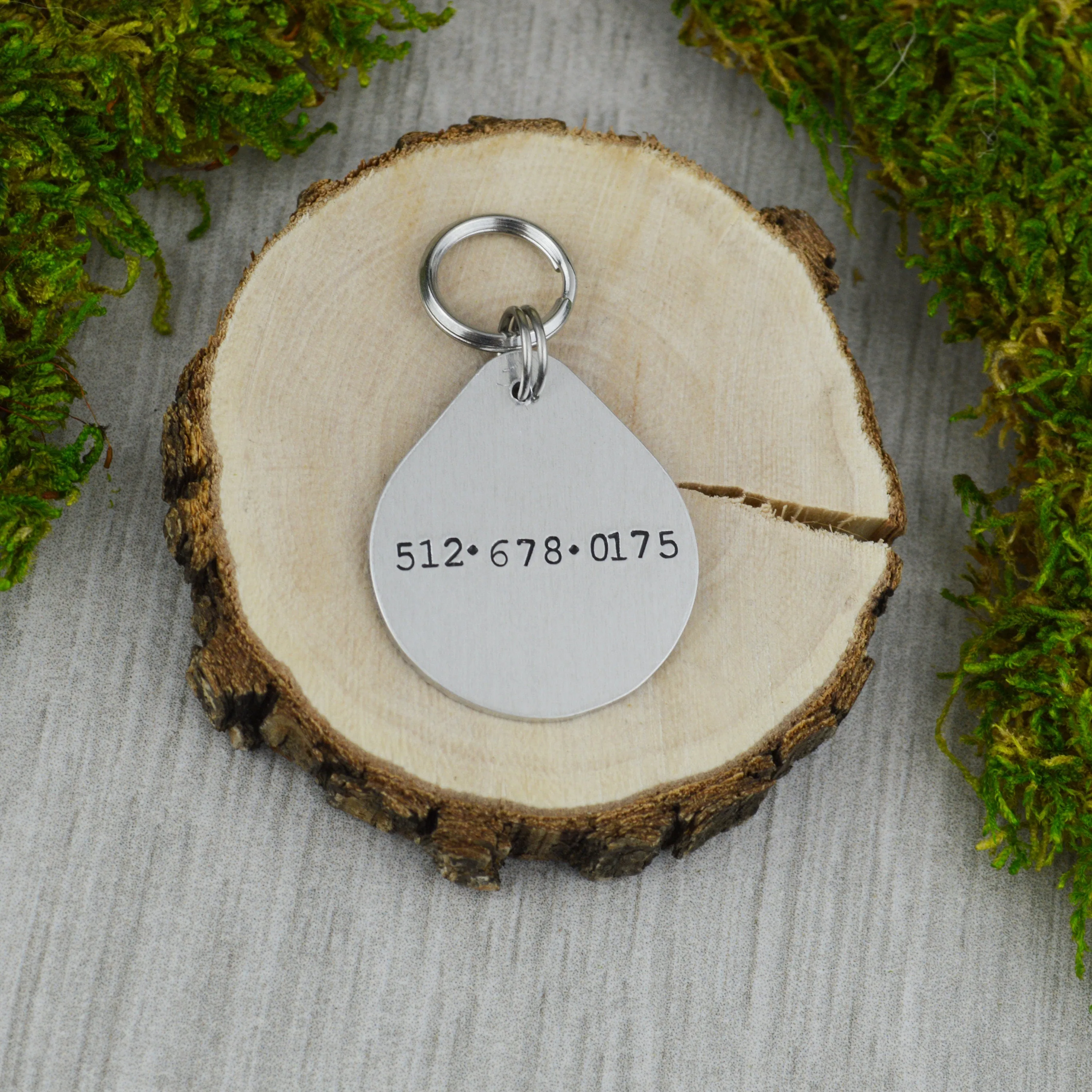 Perigee Pet ID Tag