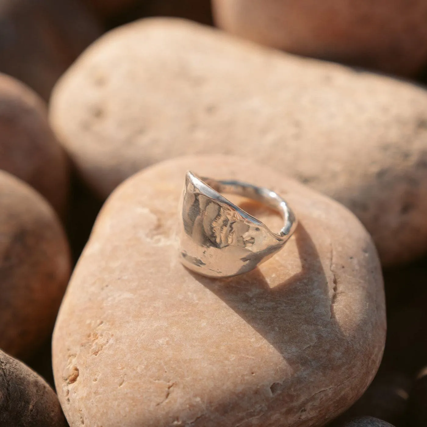 Protector Signet Ring