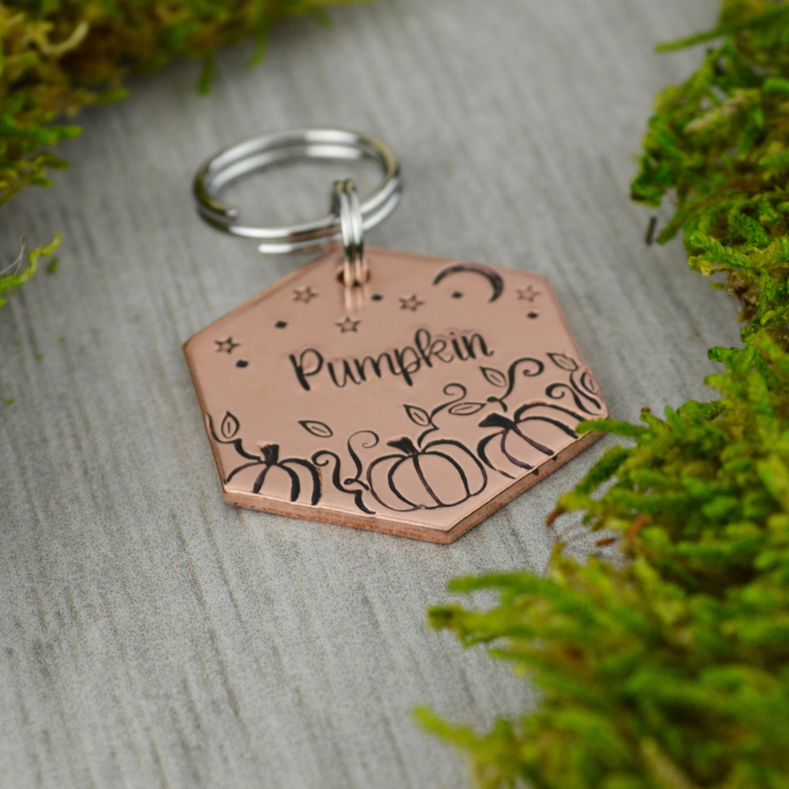 Pumpkin Patch Pet ID Tag