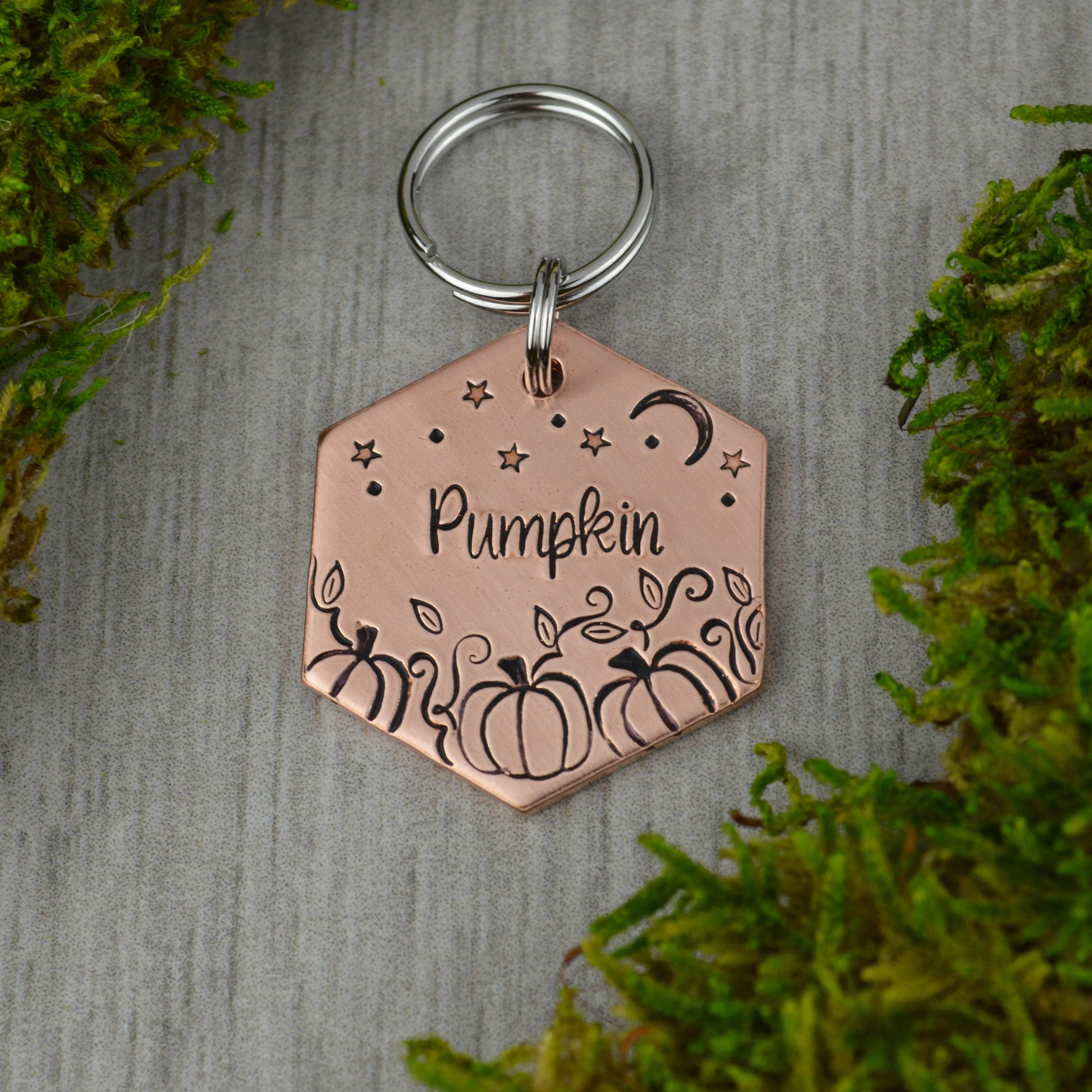 Pumpkin Patch Pet ID Tag