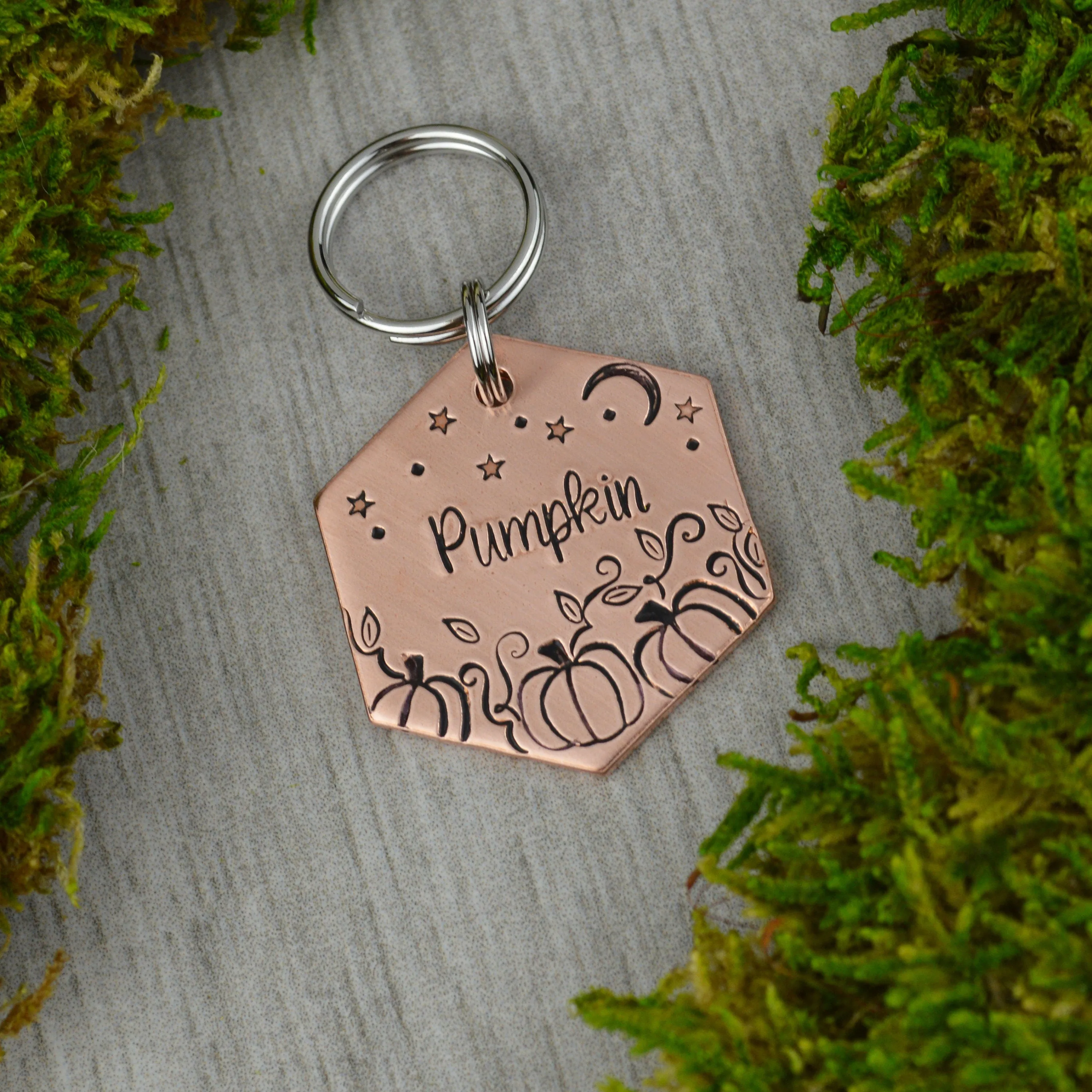 Pumpkin Patch Pet ID Tag