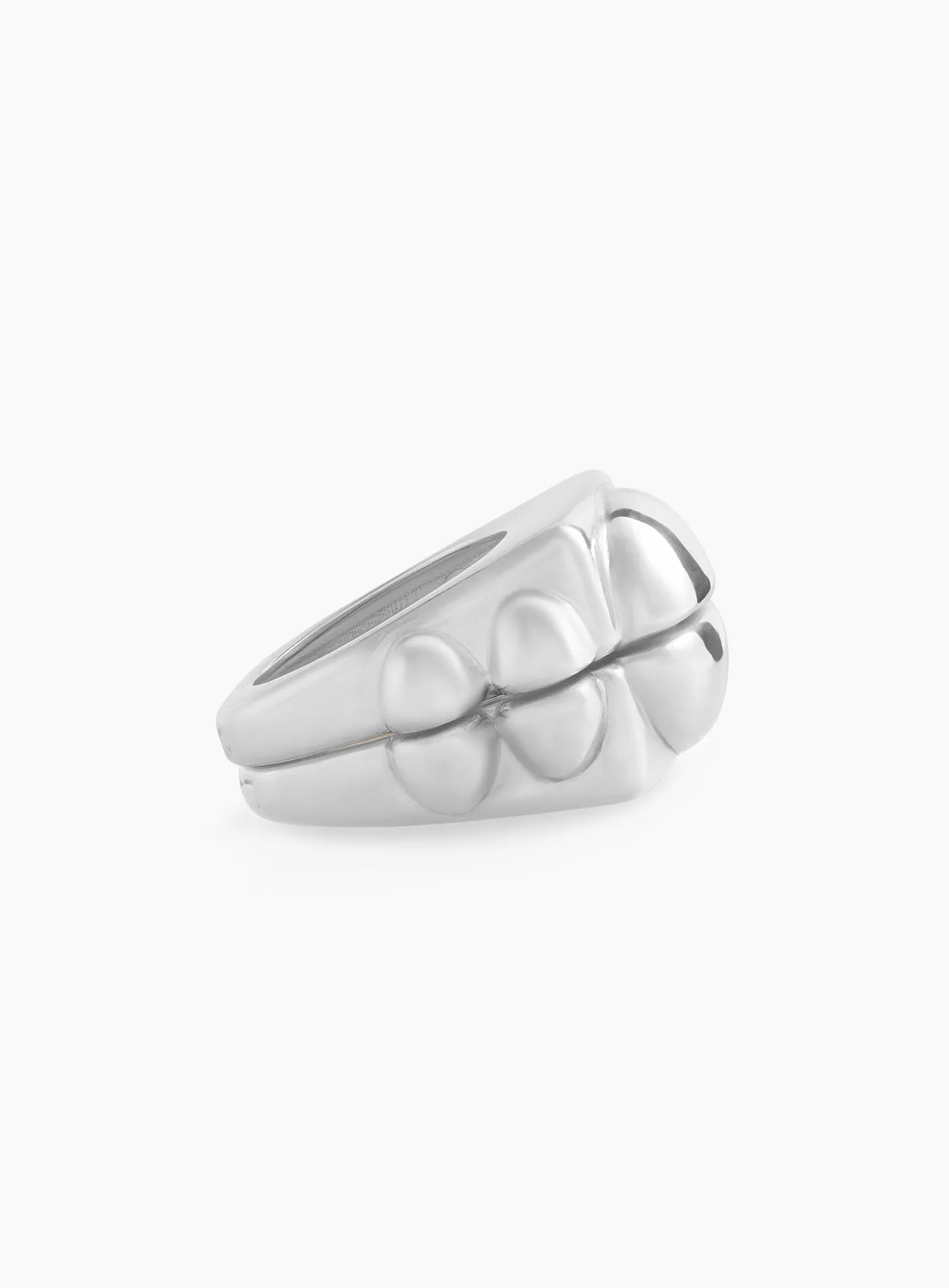 "Best Of Both Worlds" Silver Ring