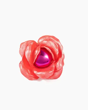 Rosa, Rosa