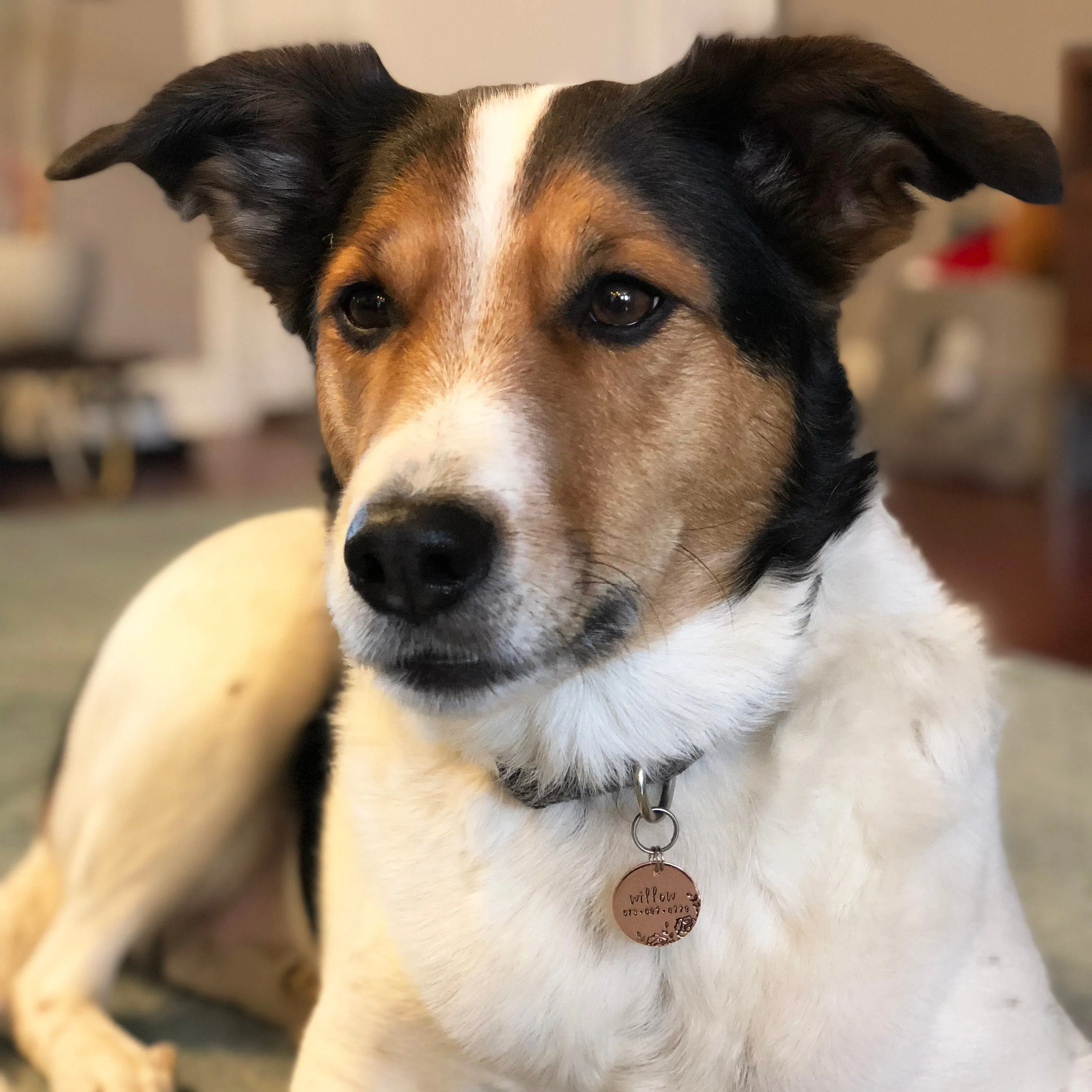 Roses Pet ID Tag
