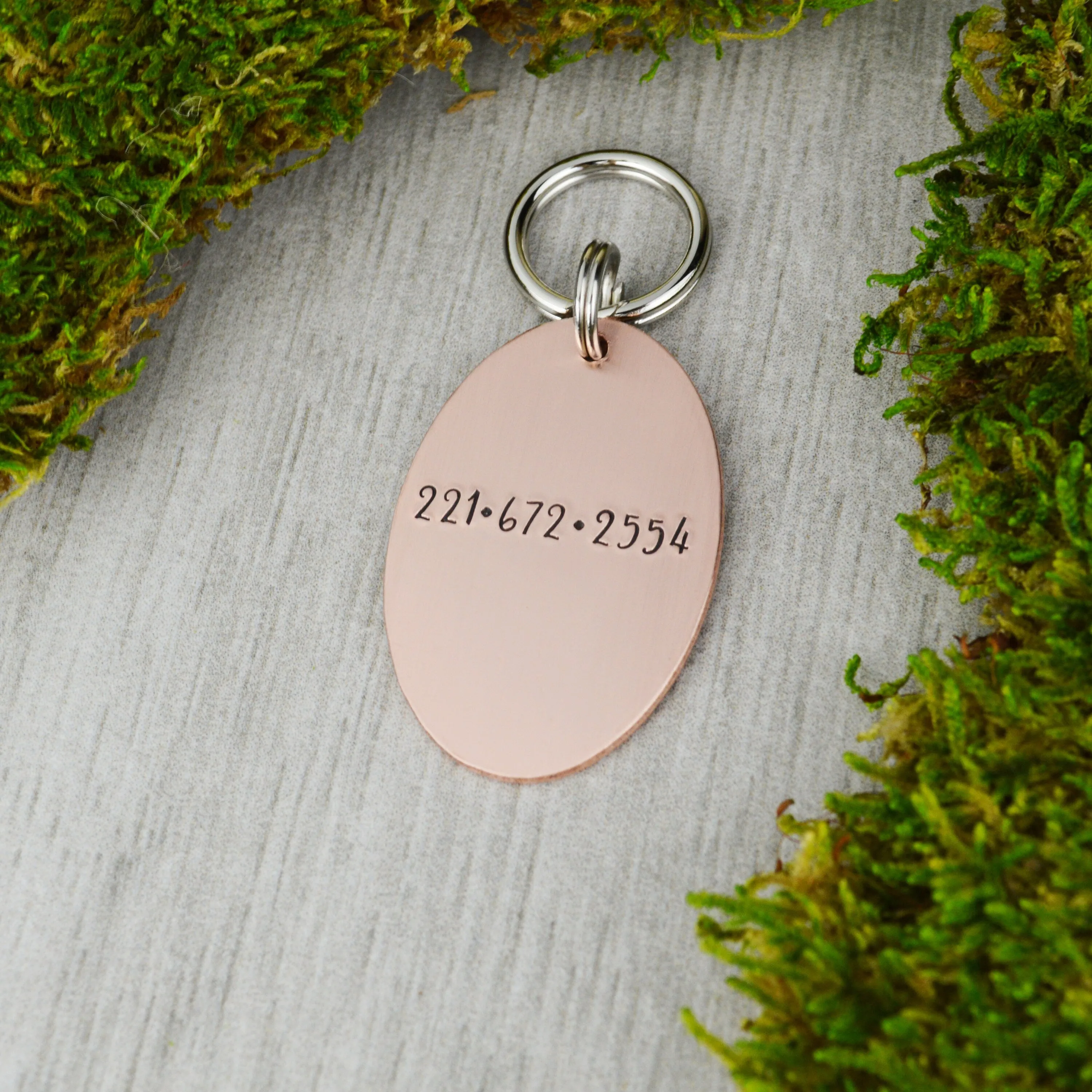 Saguaro Blooms Pet ID Tag
