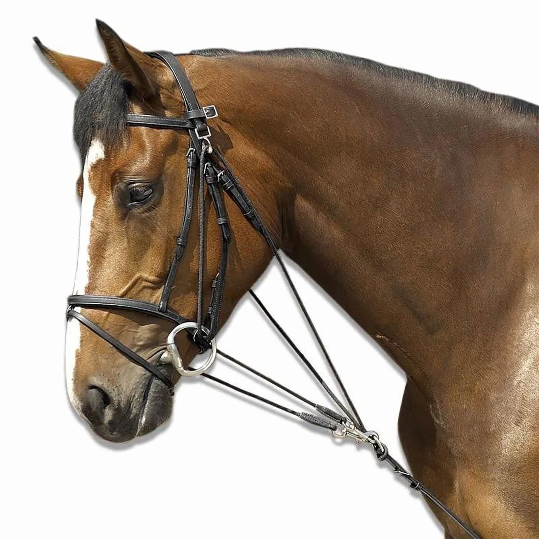 Schooling Horse Riding Gogue for Pony