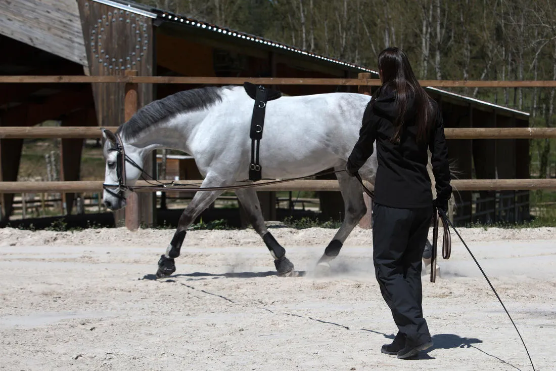 Schooling Horse Riding Gogue for Pony