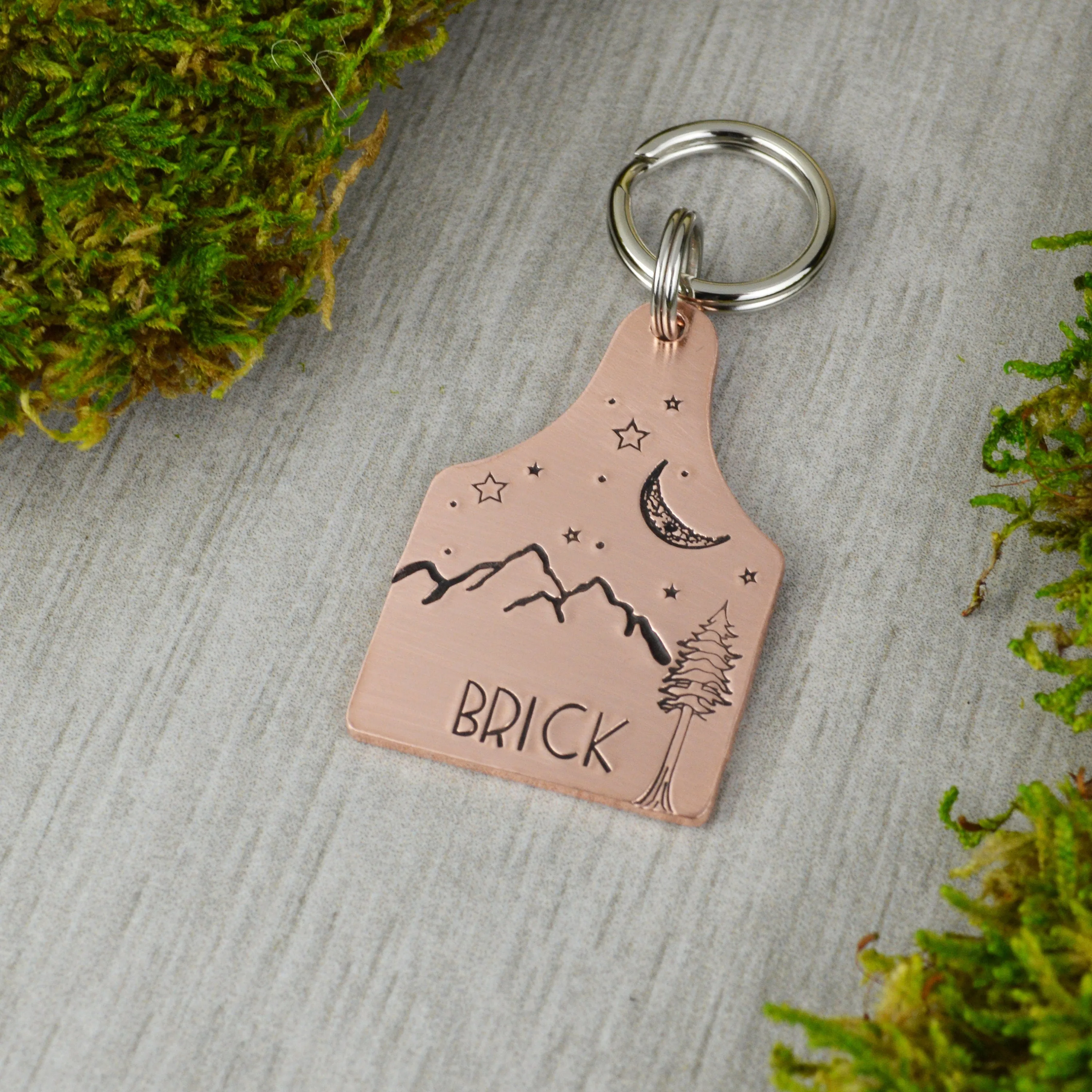 Sequoia Under the Moon Pet ID Tag
