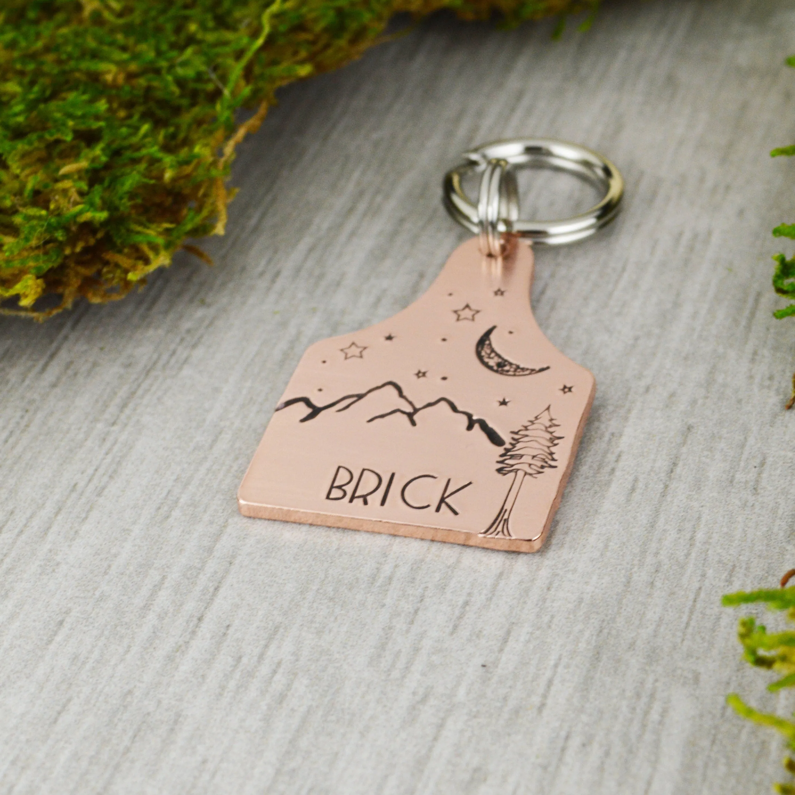 Sequoia Under the Moon Pet ID Tag