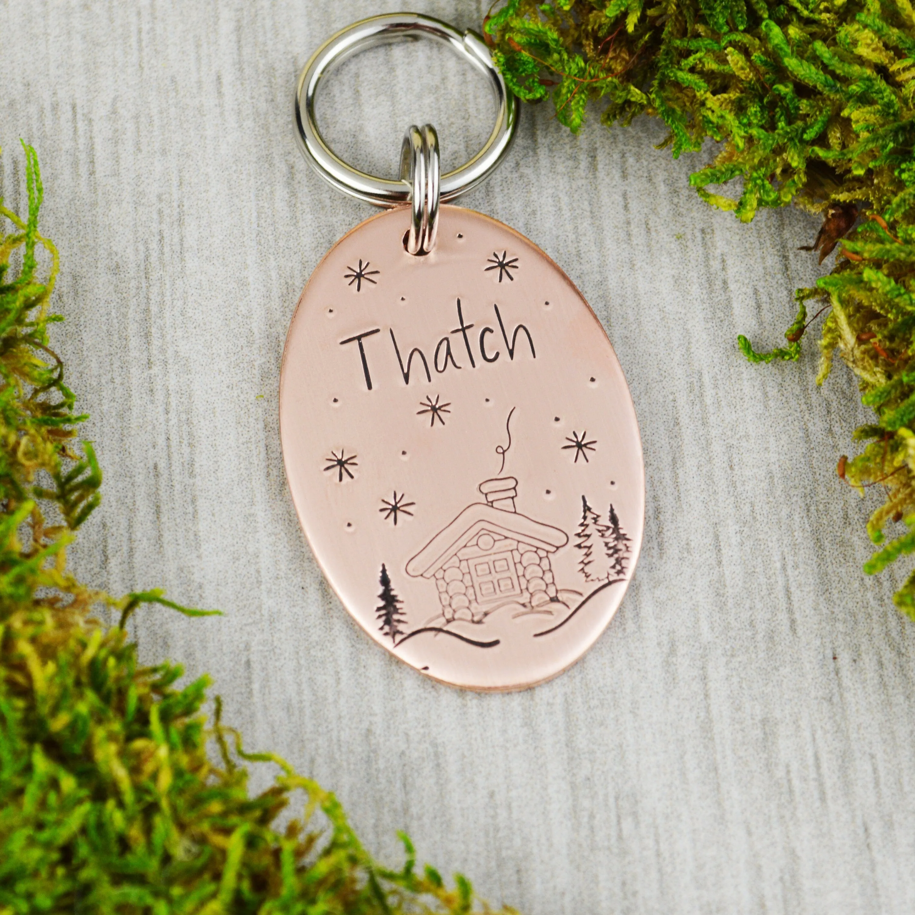 Ski Chalet Pet ID Tag