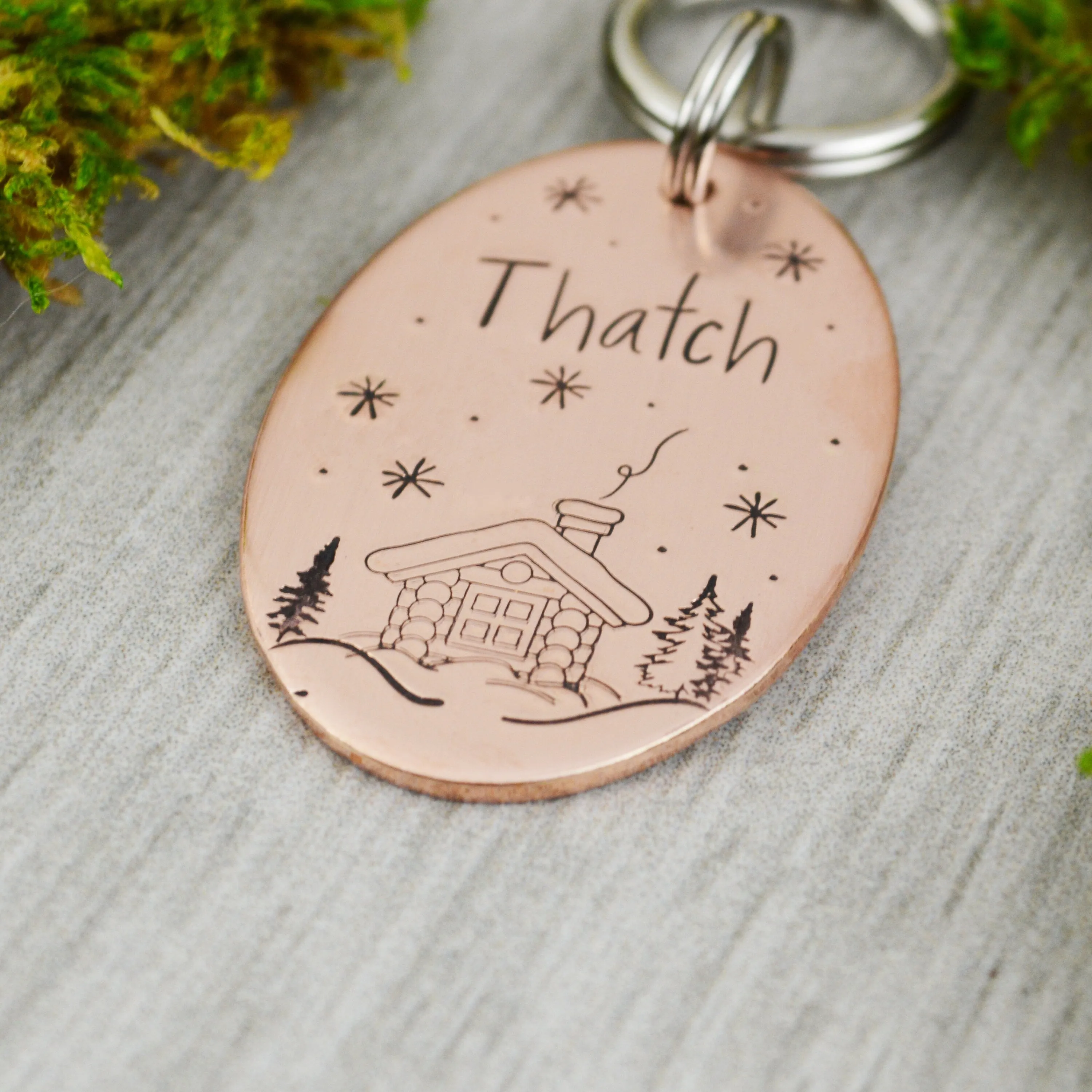 Ski Chalet Pet ID Tag