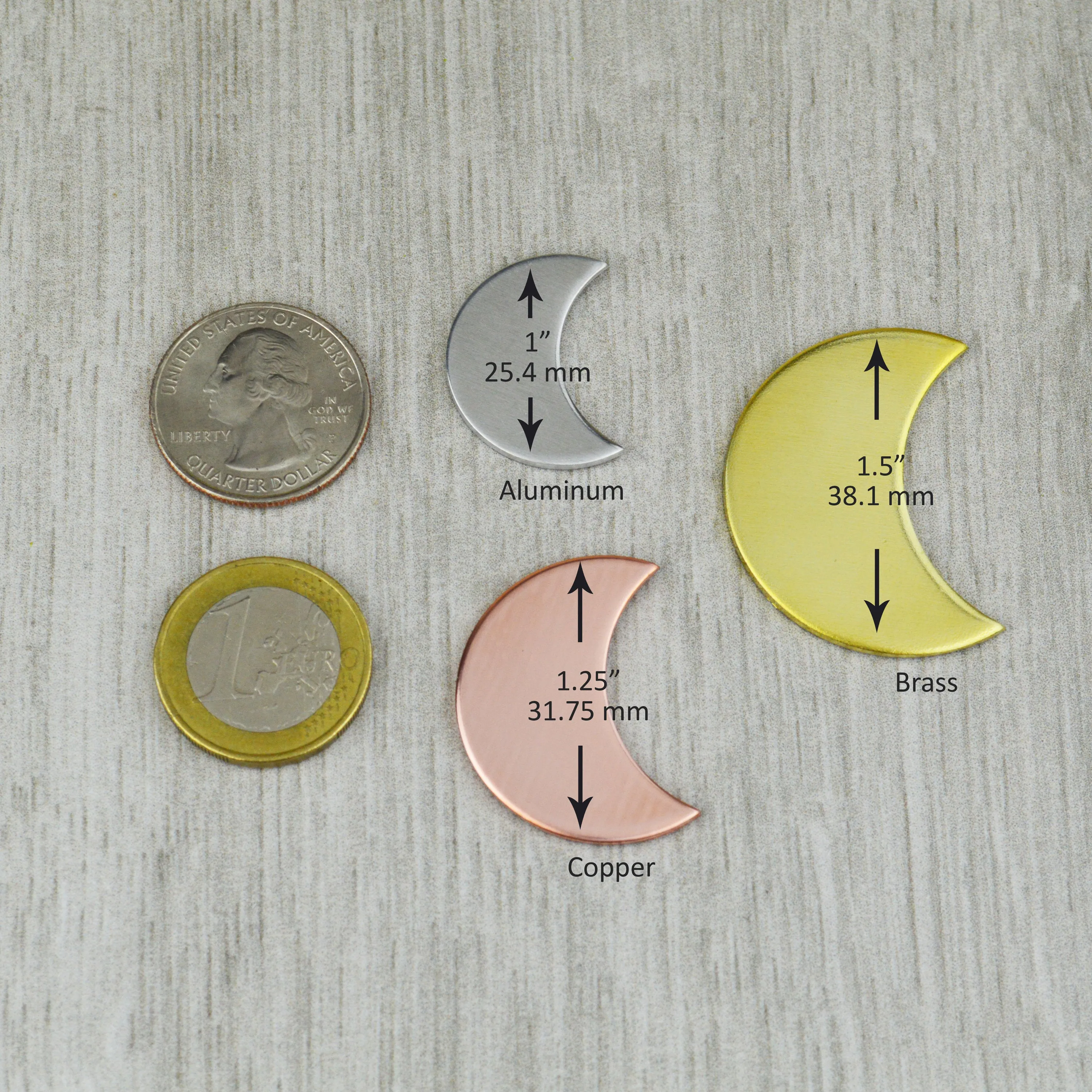 Succulent Moon Pet ID Tag