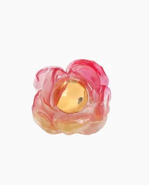 Sunset Rose