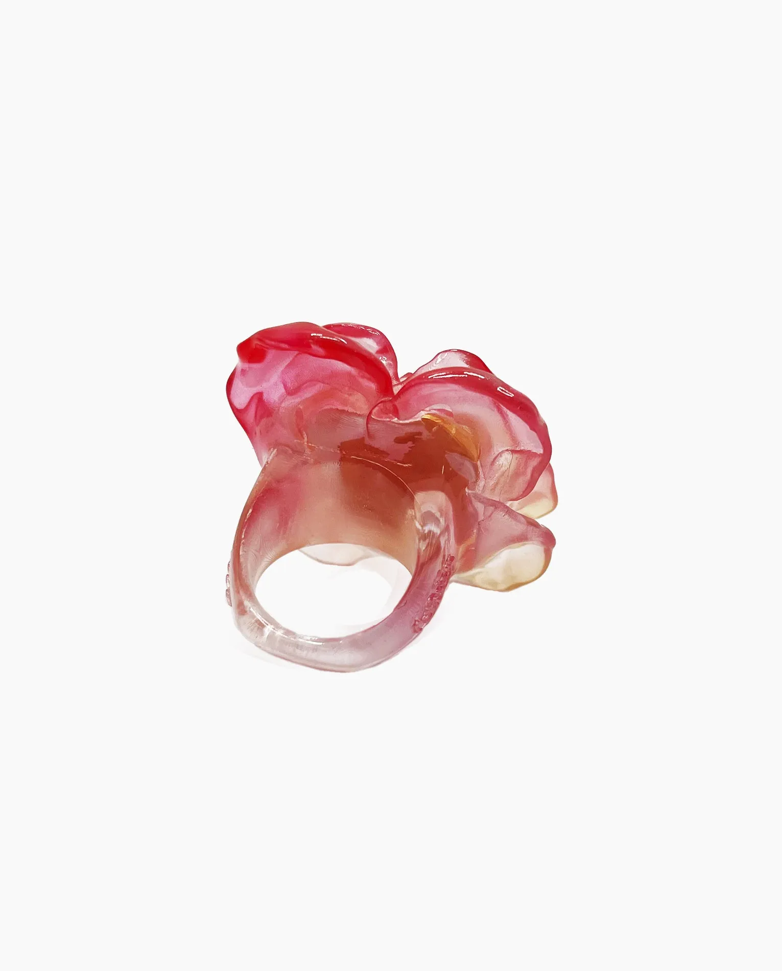 Sunset Rose