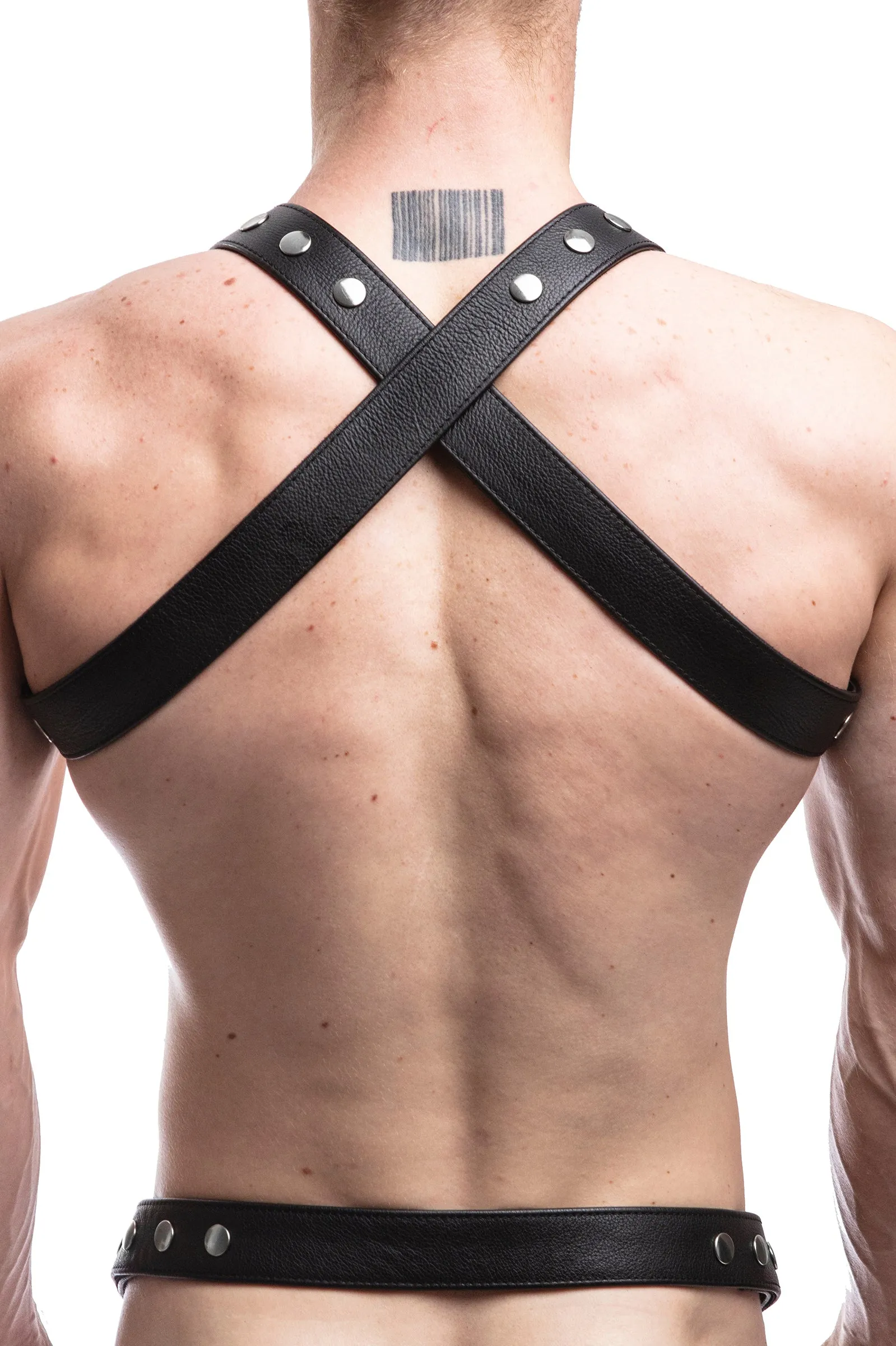 UNIVERSAL X HARNESS - Stainless Steel