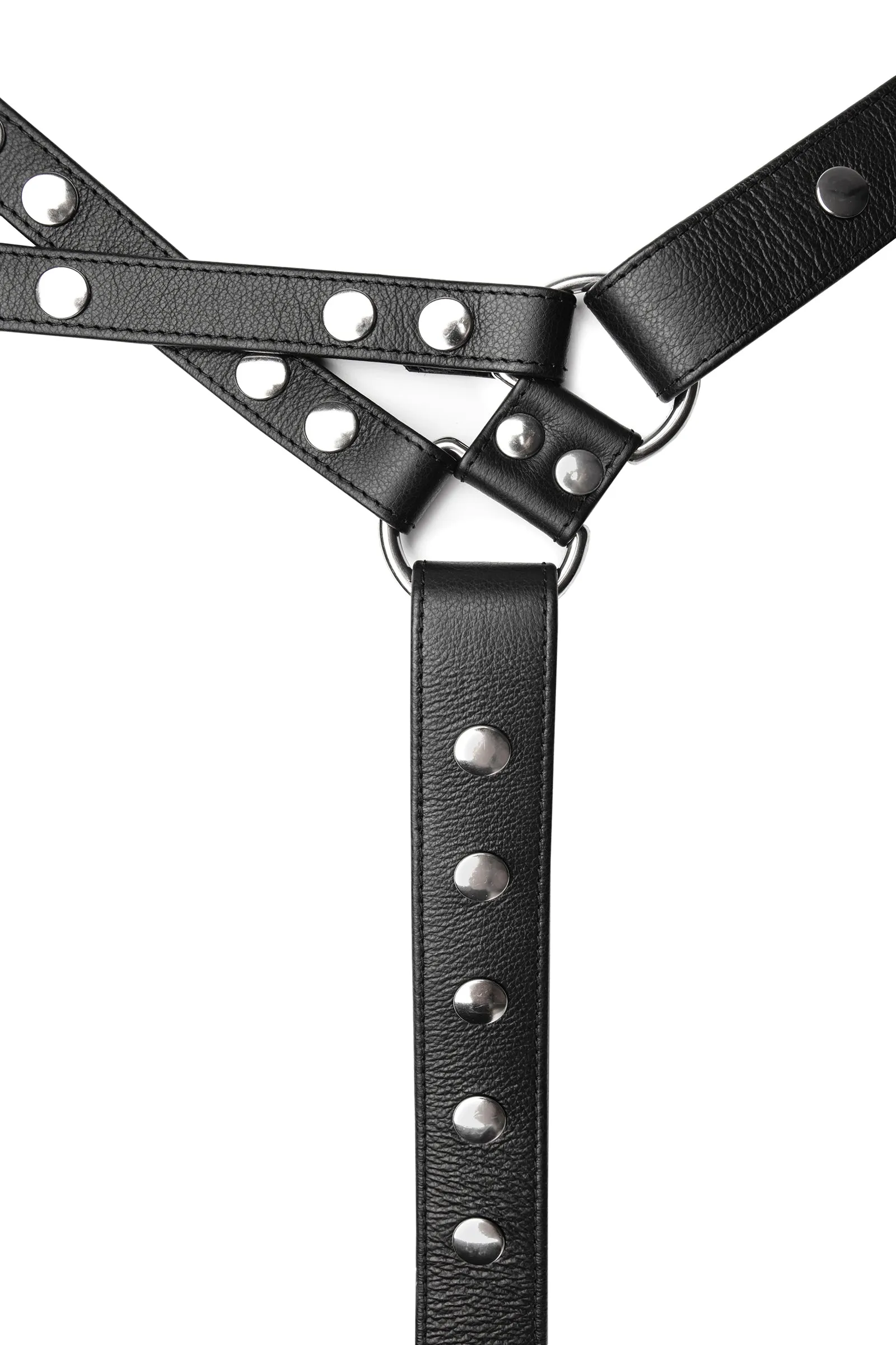 UNIVERSAL X HARNESS - Stainless Steel