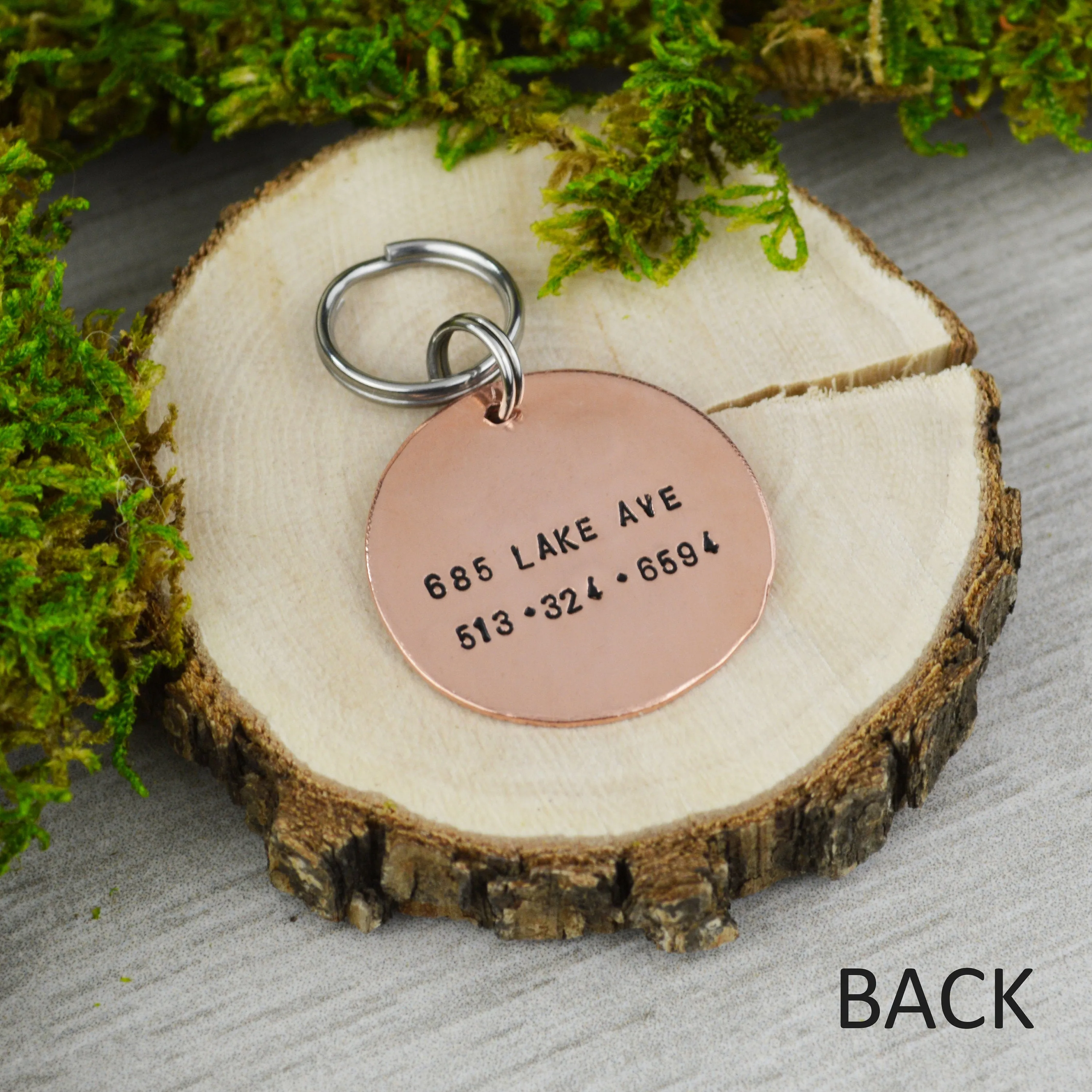 View of the Forest Pet ID Tag