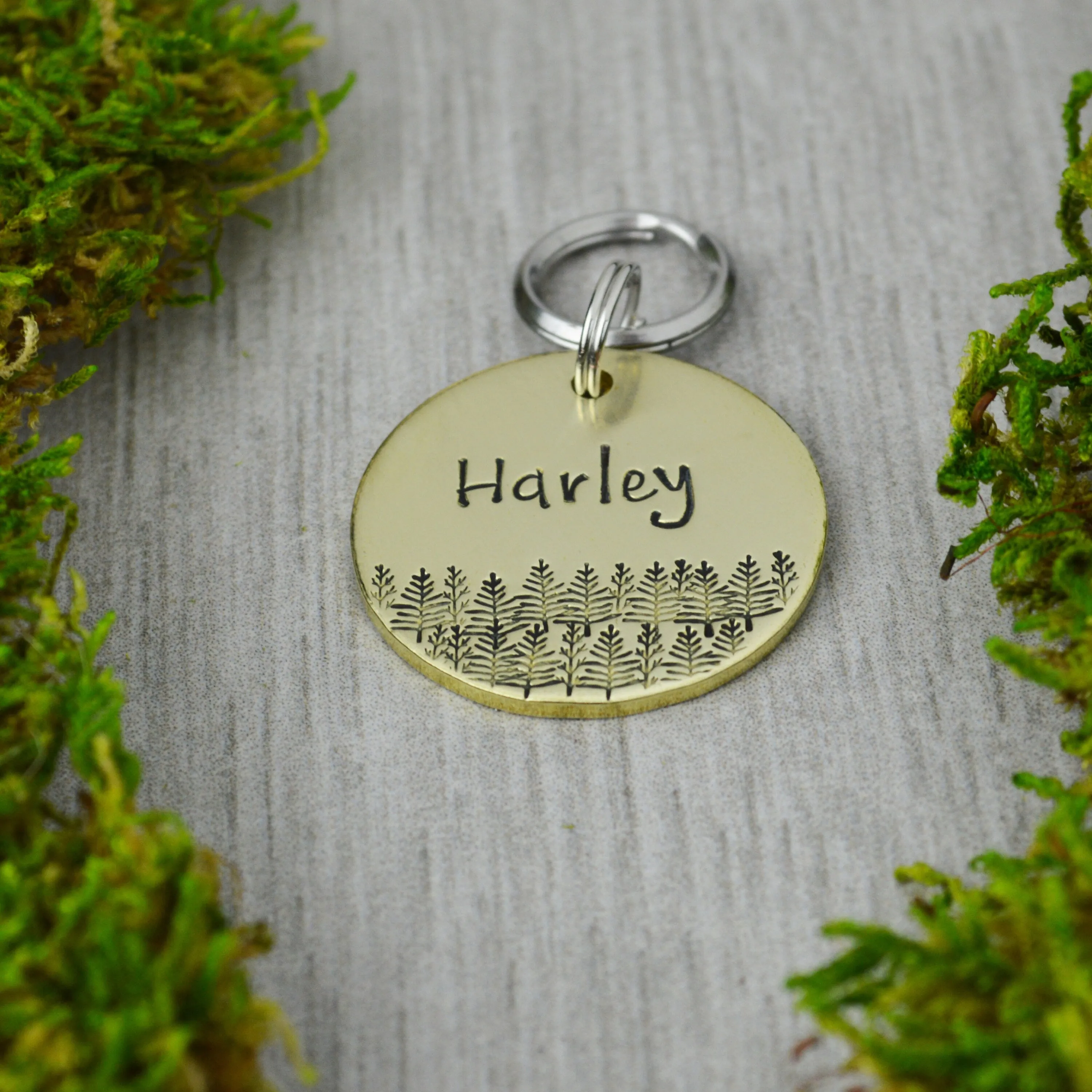 View of the Forest Pet ID Tag