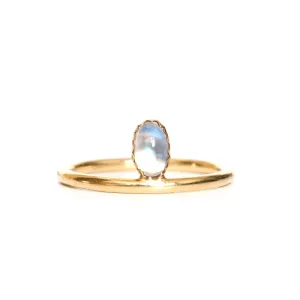 Welldunn Mounia - Gold
