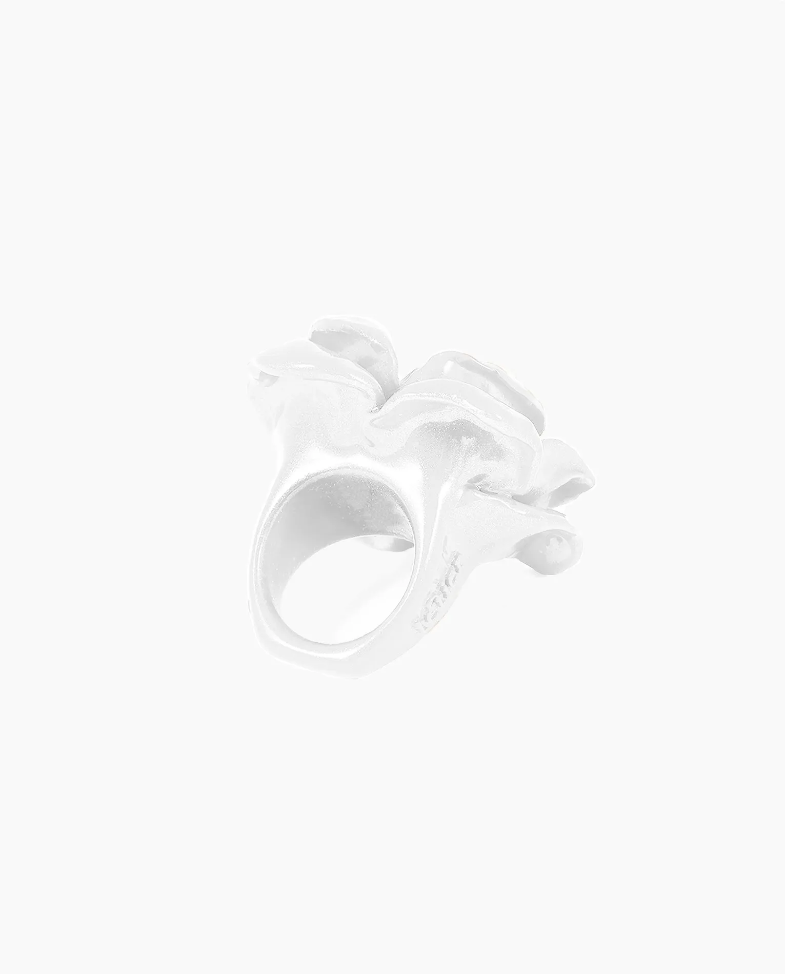 White Rose