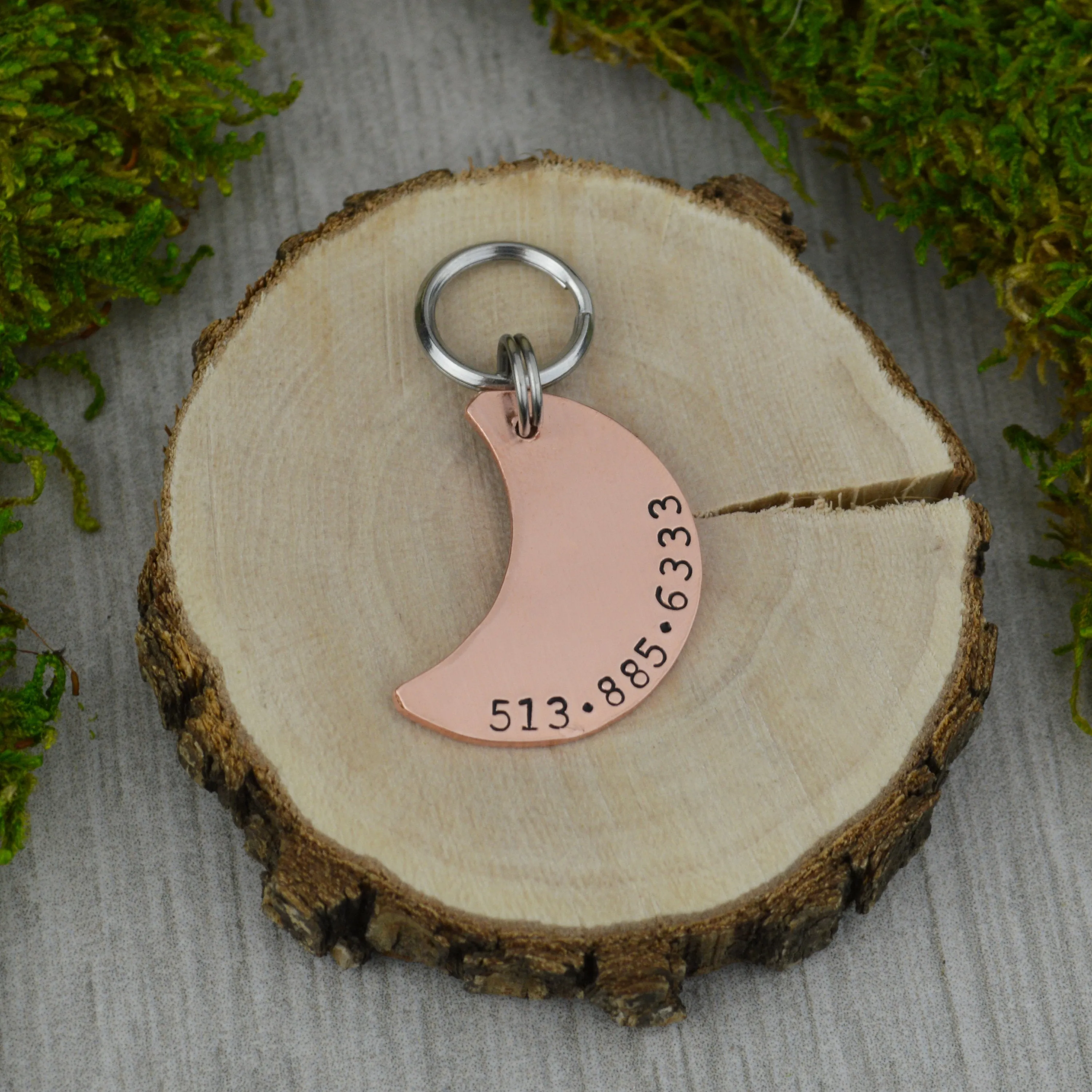 Winter Moon Pet ID Tag