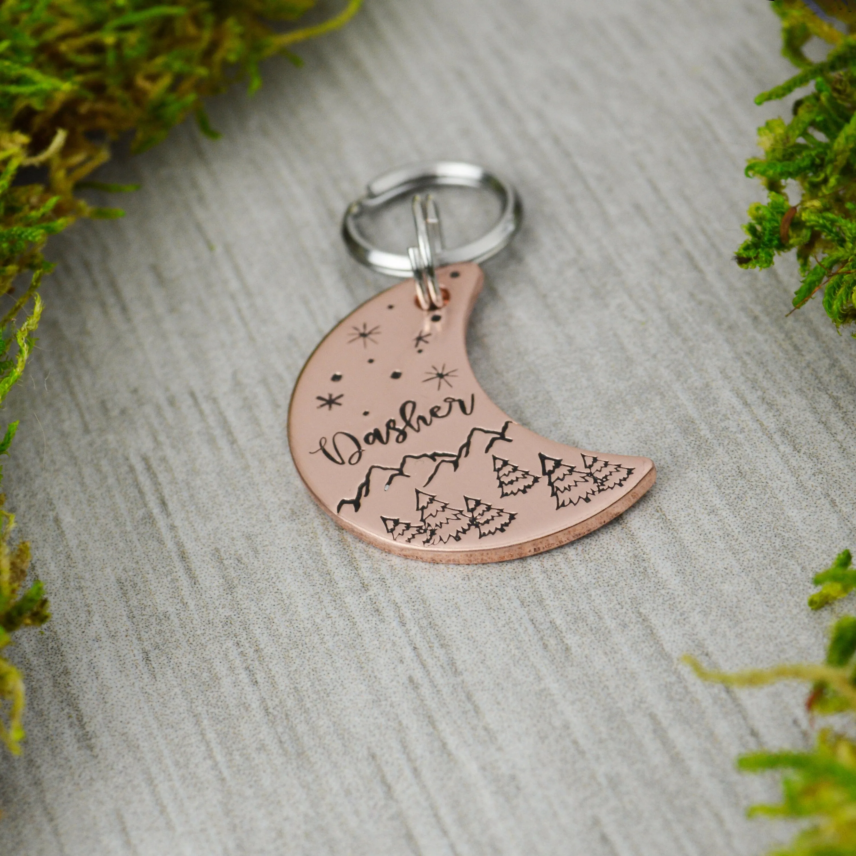 Winter Moon Pet ID Tag